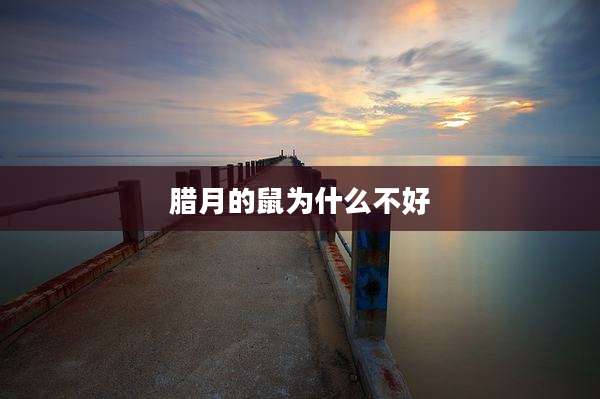 腊月的鼠为什么不好