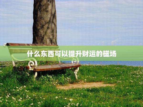 什么东西可以提升财运的磁场