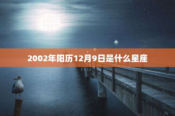 2002年阳历12月9日是什么星座