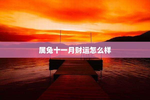 属兔十一月财运怎么样