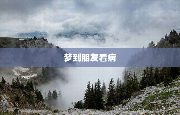 梦到朋友看病