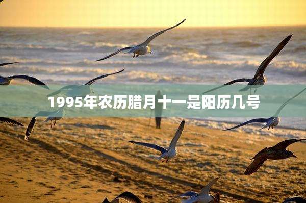 1995年农历腊月十一是阳历几号