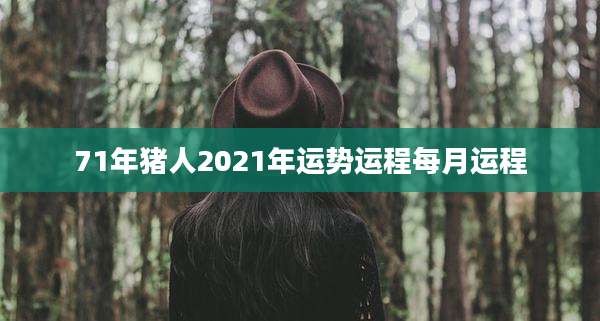 71年猪人2021年运势运程每月运程