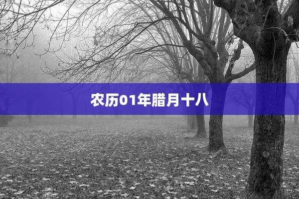 农历01年腊月十八