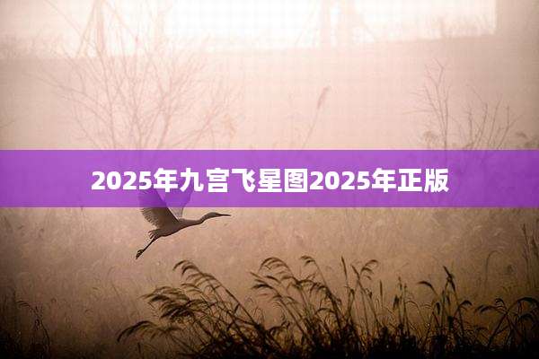 2025年九宫飞星图2025年正版