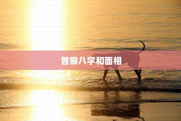 曾黎八字和面相