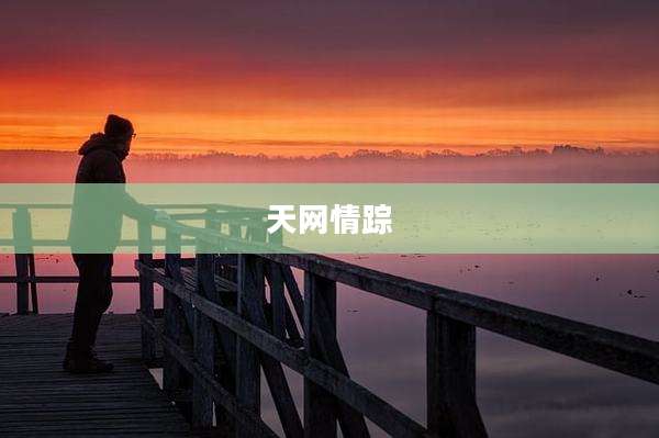 天网情踪