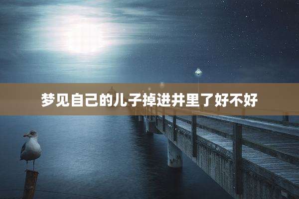 梦见自己的儿子掉进井里了好不好