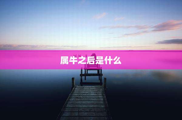 属牛之后是什么