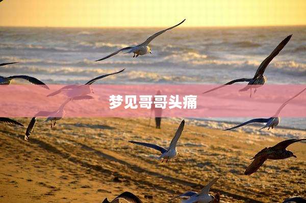 梦见哥哥头痛