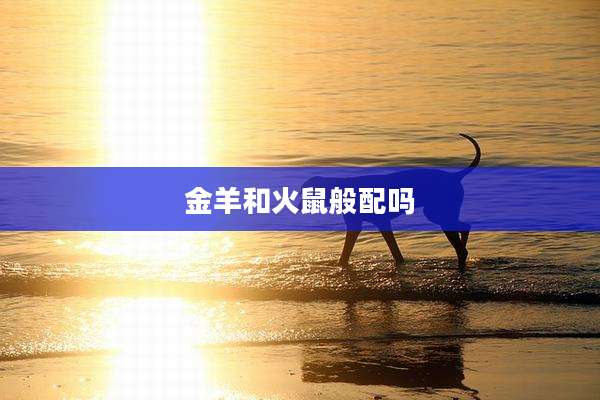 金羊和火鼠般配吗