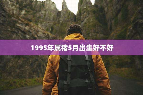 1995年属猪5月出生好不好