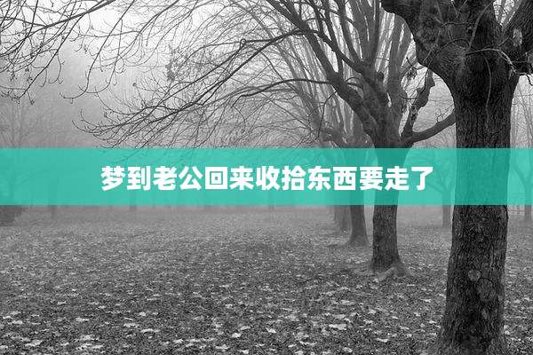 梦到老公回来收拾东西要走了