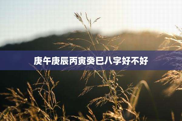 庚午庚辰丙寅癸巳八字好不好