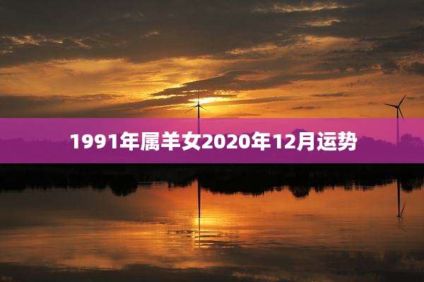 1991年属羊女2020年12月运势