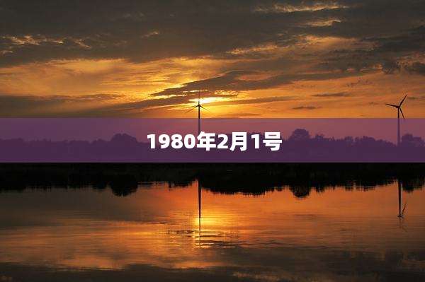 1980年2月1号