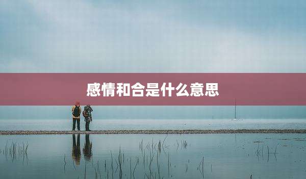 感情和合是什么意思