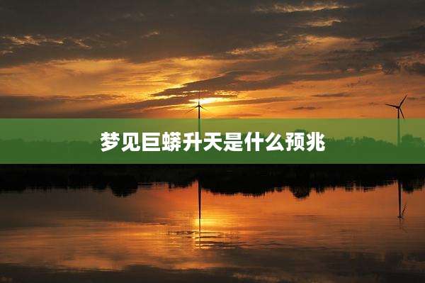 梦见巨蟒升天是什么预兆