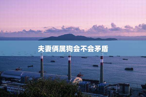 夫妻俩属狗会不会矛盾