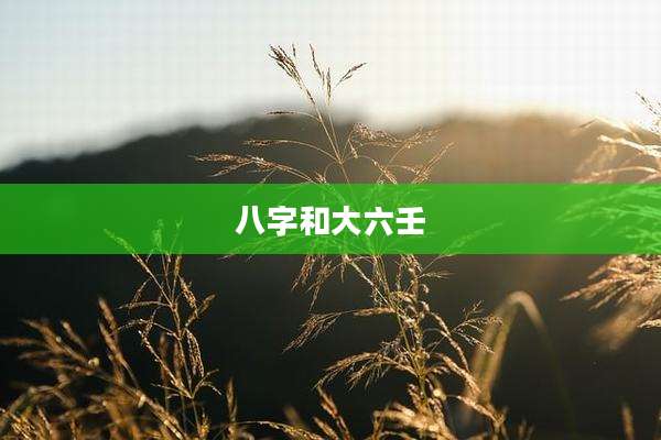 八字和大六壬