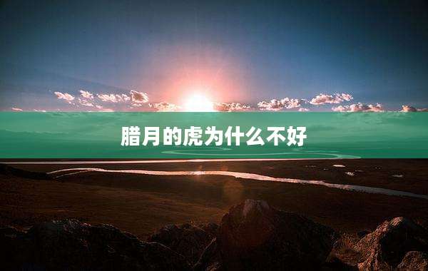 腊月的虎为什么不好