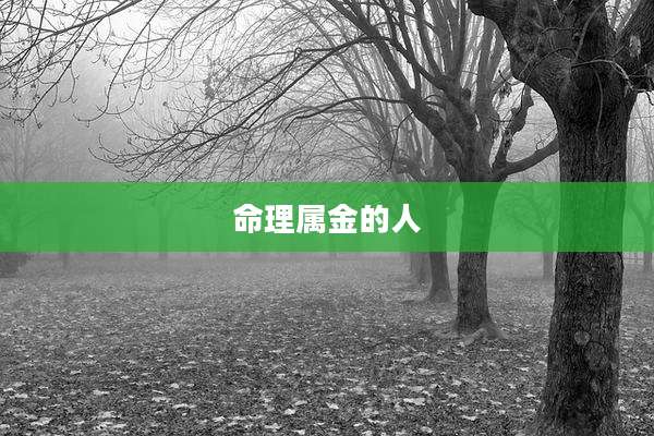 命理属金的人