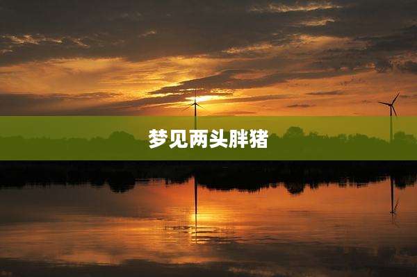 梦见两头胖猪