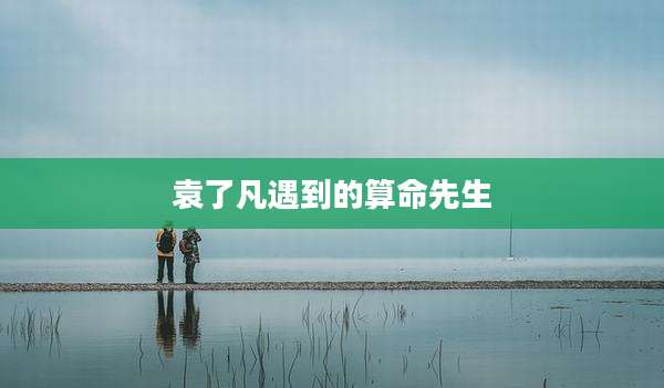 袁了凡遇到的算命先生