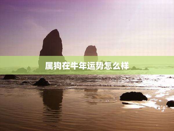 属狗在牛年运势怎么样