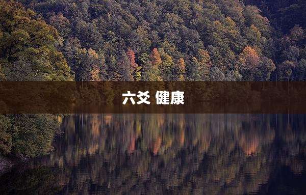 六爻 健康