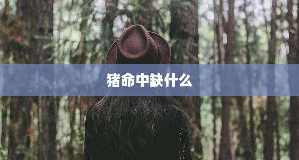 猪命中缺什么