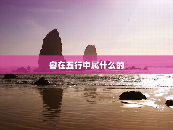 睿在五行中属什么的