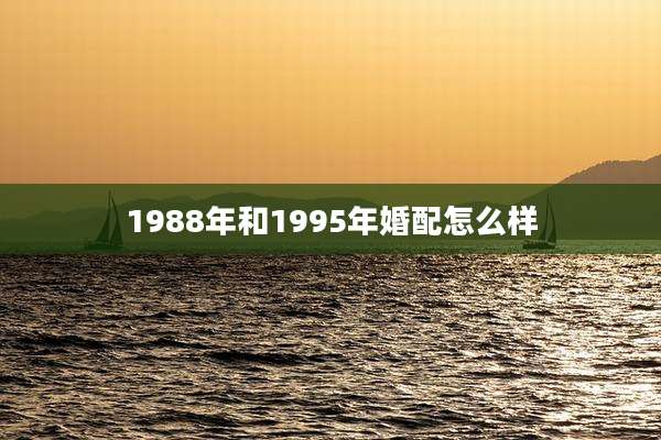 1988年和1995年婚配怎么样