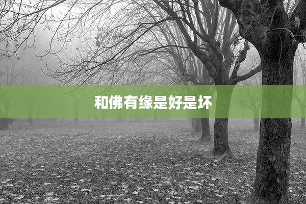 和佛有缘是好是坏