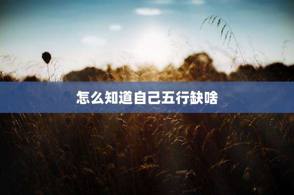 怎么知道自己五行缺啥