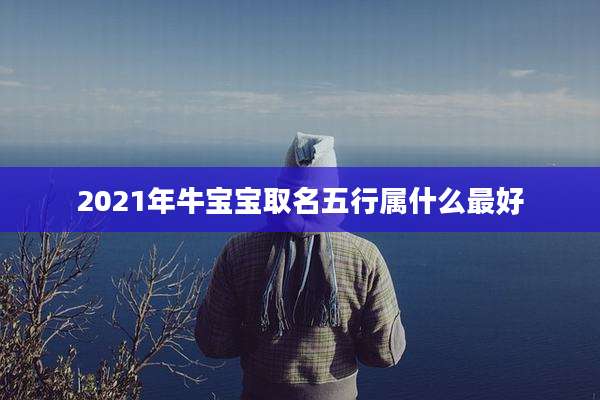 2021年牛宝宝取名五行属什么最好