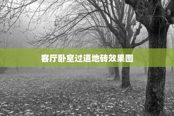 客厅卧室过道地砖效果图