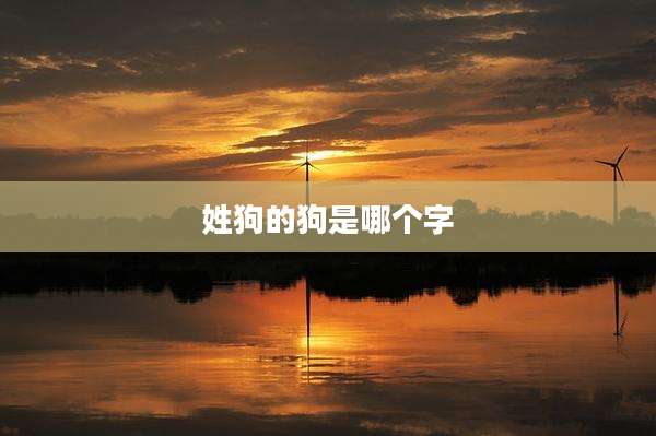 姓狗的狗是哪个字