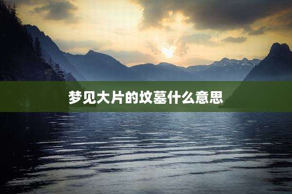 梦见大片的坟墓什么意思