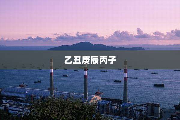 乙丑庚辰丙子