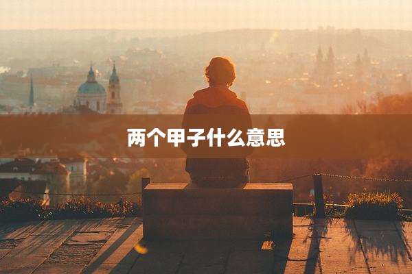 两个甲子什么意思