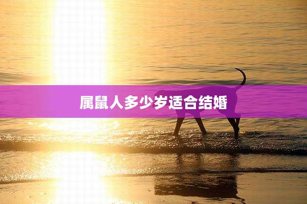 属鼠人多少岁适合结婚
