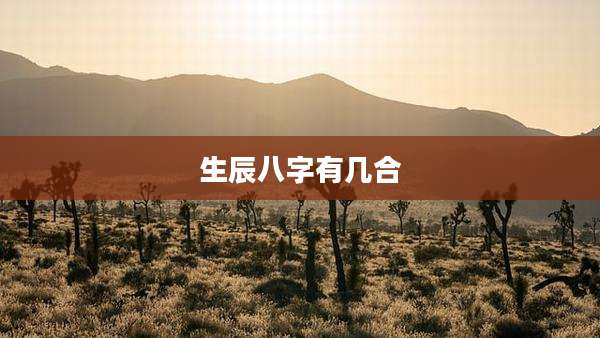 生辰八字有几合