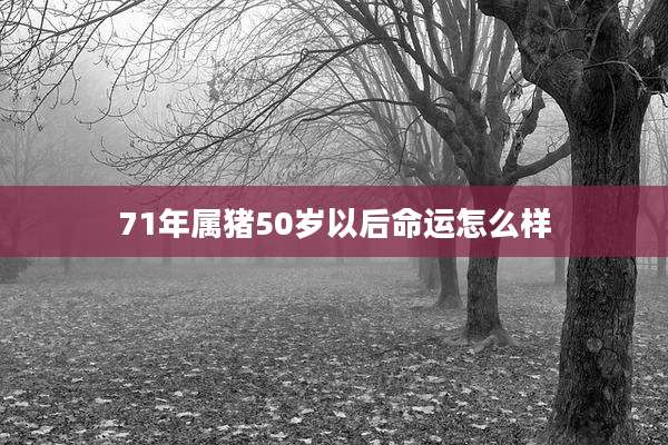 71年属猪50岁以后命运怎么样