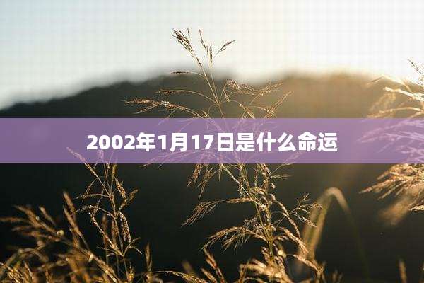 2002年1月17日是什么命运
