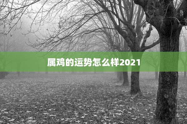 属鸡的运势怎么样2021
