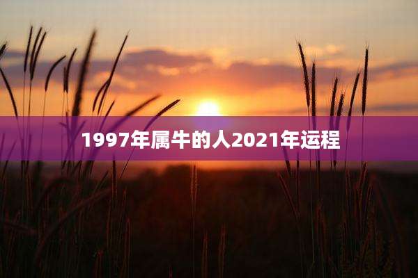 1997年属牛的人2021年运程