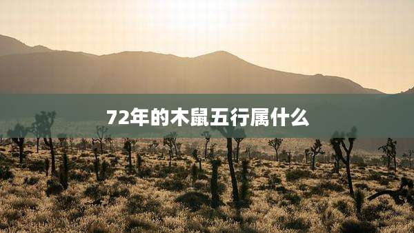 72年的木鼠五行属什么