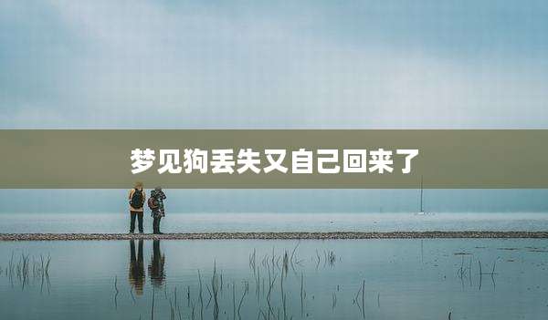 梦见狗丢失又自己回来了