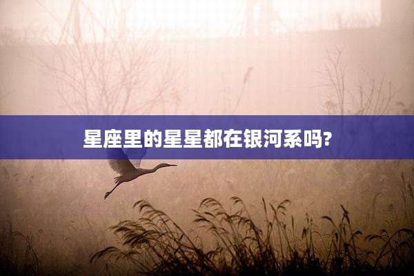 星座里的星星都在银河系吗?
